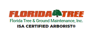 Tree Service & Ground maintenance Punta Gorda